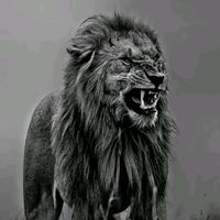 son original