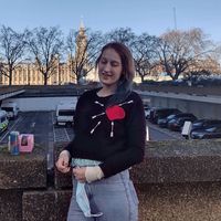 hollierecoverybackupp