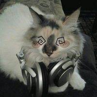 max_bots