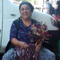 orijinal ses