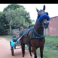 paulosergio393