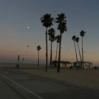 original sound - user8171859020902