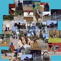 norrlands.galna.ryttare