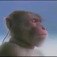 original sound - pedradas_s2