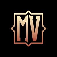 millionairevision007