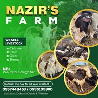 nazirfarms
