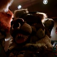 marble_fox127