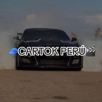 cartokperu