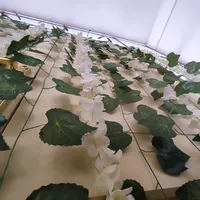 original sound - amdrea_cg