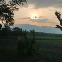 lalin2893