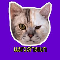 เสียงต้นฉบับ - แมวสามเก
