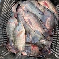 maryempresariadasnacoes