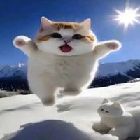 grimaceshakeinohio69