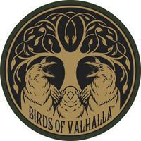 birdsofvalhalla
