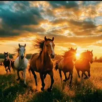 original sound - ramnfernandez27