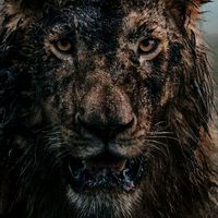 historicalmightyghost