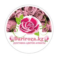 darirozaa