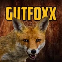 original sound - GutFoxx