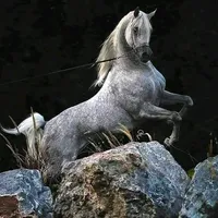 original sound - elhawary102