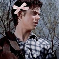 ponyboy_theoutsiders