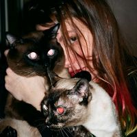 оригинальный звук