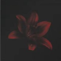 marwa_merves12