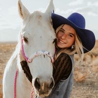 kyp_performancehorses