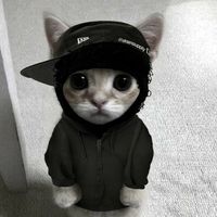 tomxzzz_7