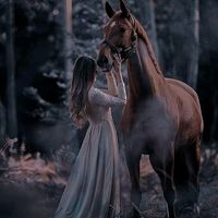 502_rr24