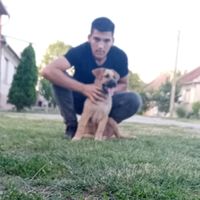 stefannovakov0