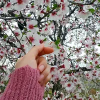 original sound - morochita1234567