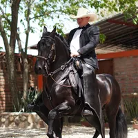 original sound - maravilla0898