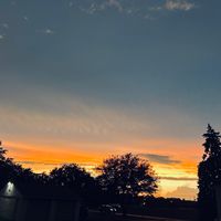 lamlizz_3