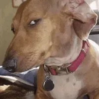 original sound - moesfilms