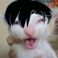 oksy__charm