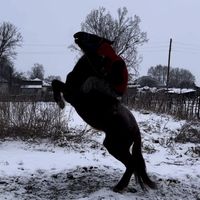 оригинальный звук