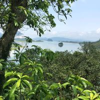 nguyenducdo345
