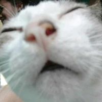 _malvina_lol_