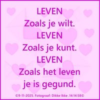 origineel geluid