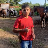 novin_763