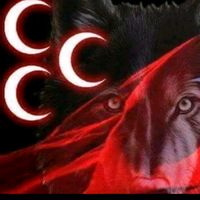 gonyali42424242kaptan