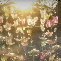 username8202845285363621