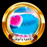 mouniahm2d