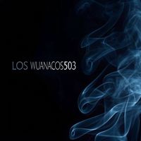 losminiguanaquitos503