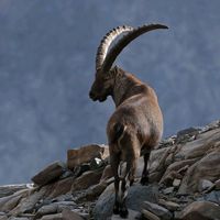 youthpresidentupdate