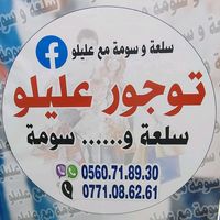 alikabas241