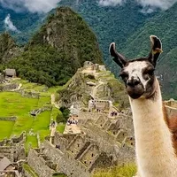 original sound - peruanisimo.pe