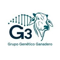 original sound - g3bolivia