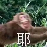 chenuudhf