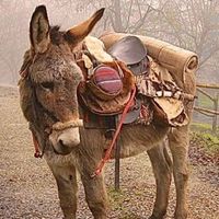 eclipsed.by.the.moon